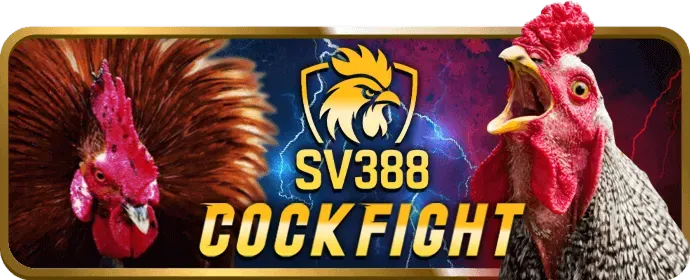 Người chơi vui vẻ nhận thưởng từ PUB88 App